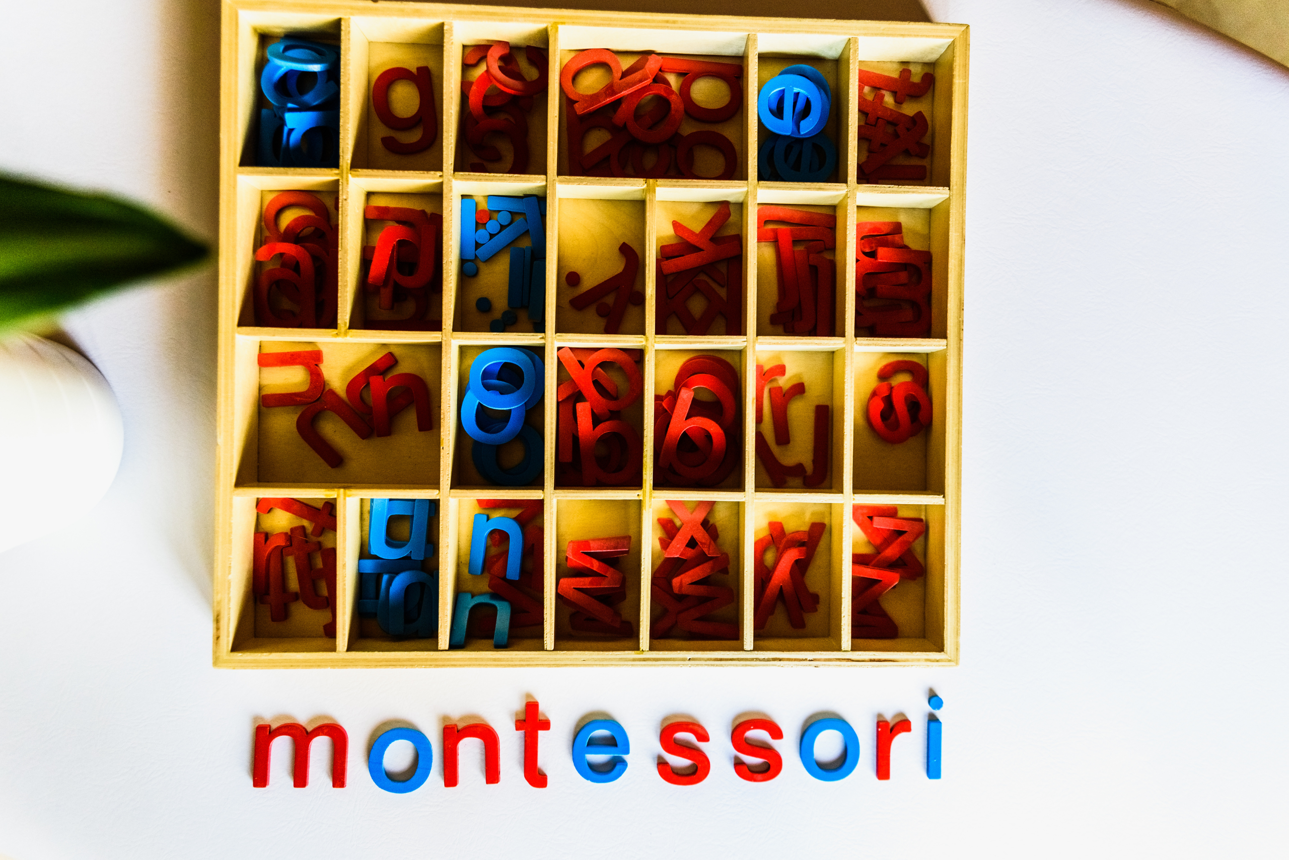 Read more about the article O que é a Pedagogia Montessori?